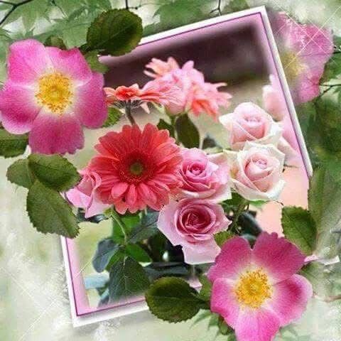 cmdcjo tweet picture