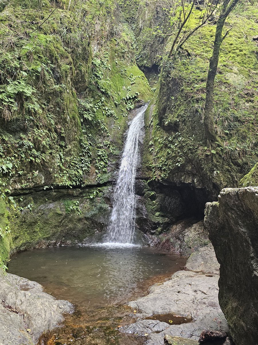 naijeru's tweet photo. Mount Mitake visit for #山の日 ⛰️ https://t.co/1trD4Uq9gw