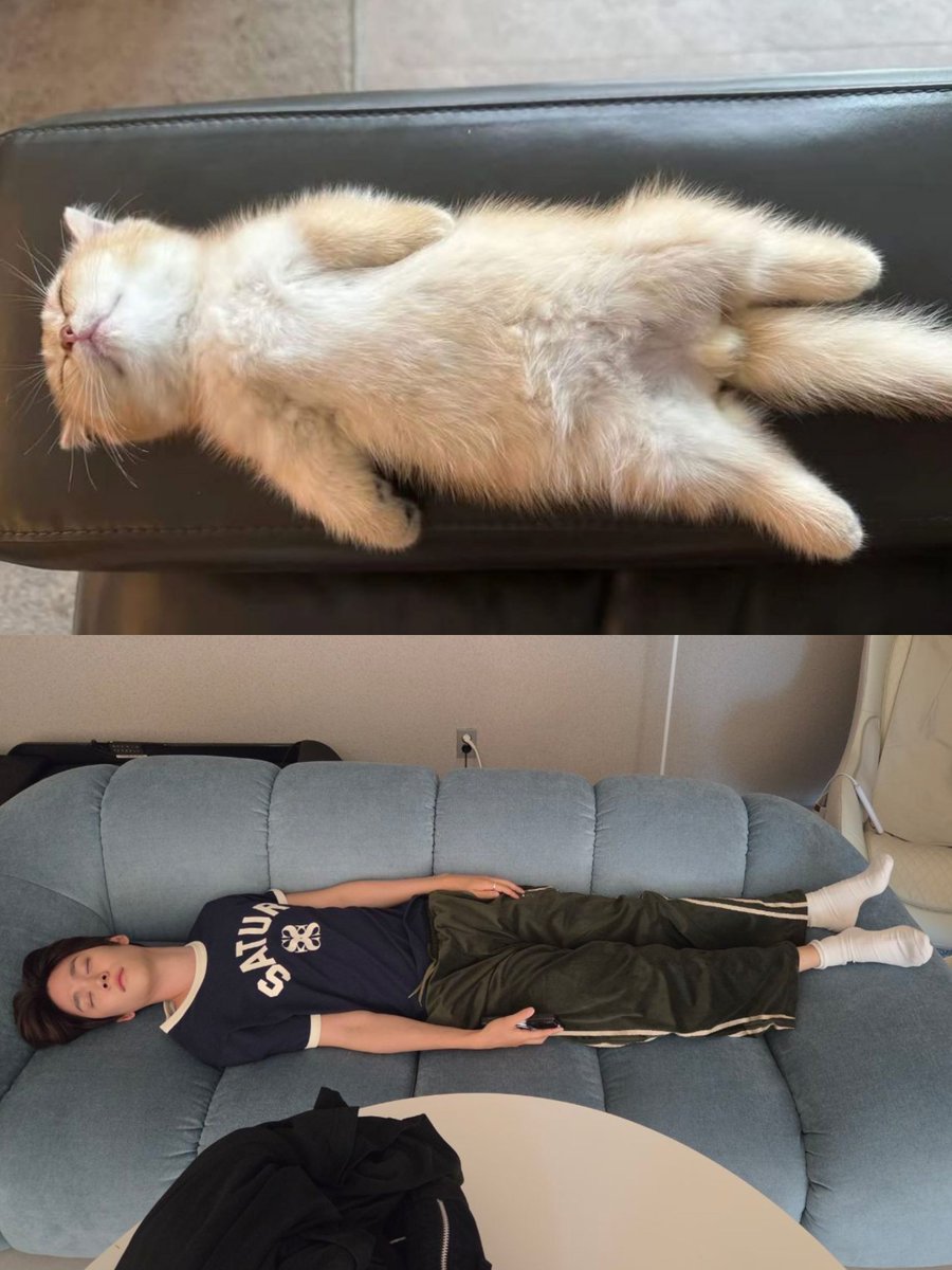 LilStonnie_'s tweet photo. 1:1 https://t.co/EQ4YpsGOds