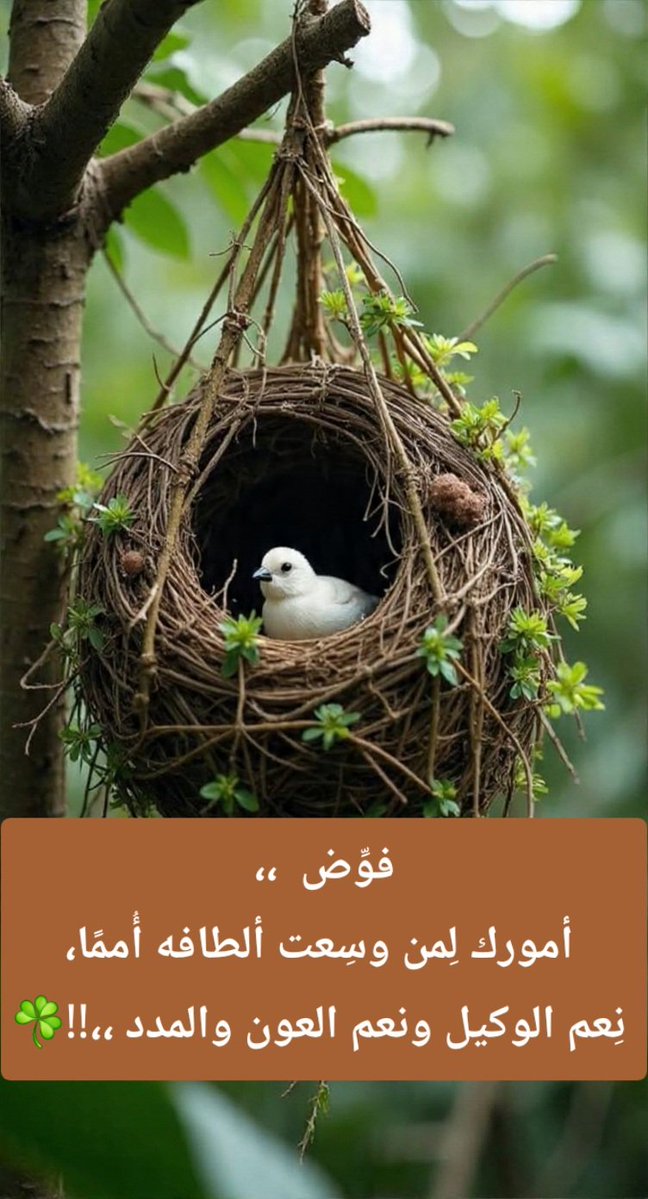 omalbatalyosef's tweet photo. #بس_اقول https://t.co/dBHIL6km8q