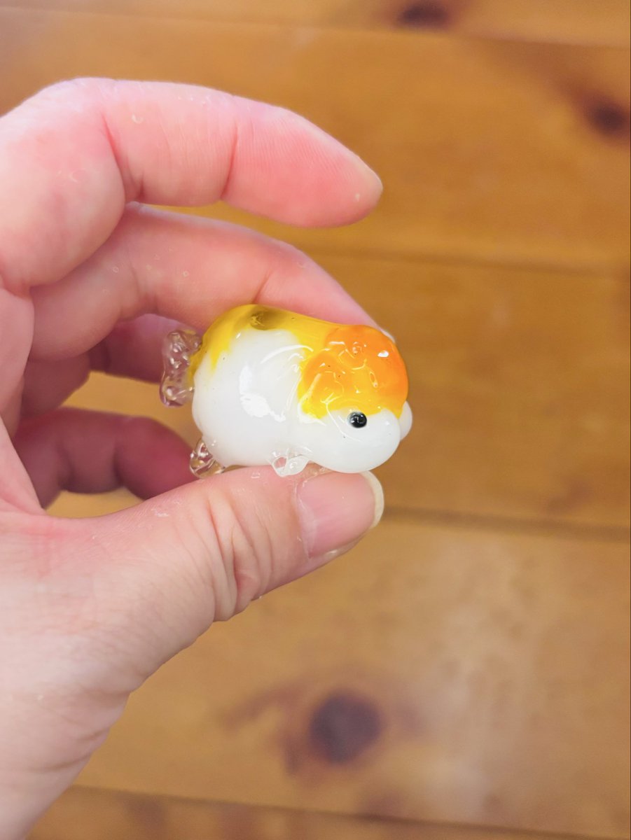 sugiako_'s tweet photo. ガラス金魚
ガラスは楽しいけど難しい https://t.co/HIaohS58Tx