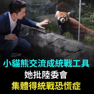 joshhs22038's tweet photo. 民進黨不是「抗中」啊！而是「恐中」囉！
是怕因為與大陸交流多了 民進黨抹黑大陸的謊言會都被戳破！
大貓熊10幾年前就來台灣，如果是統戰，我們已經被統戰10幾年了，民進黨豈不都嚇死了 https://t.co/xYtLiRm7YH