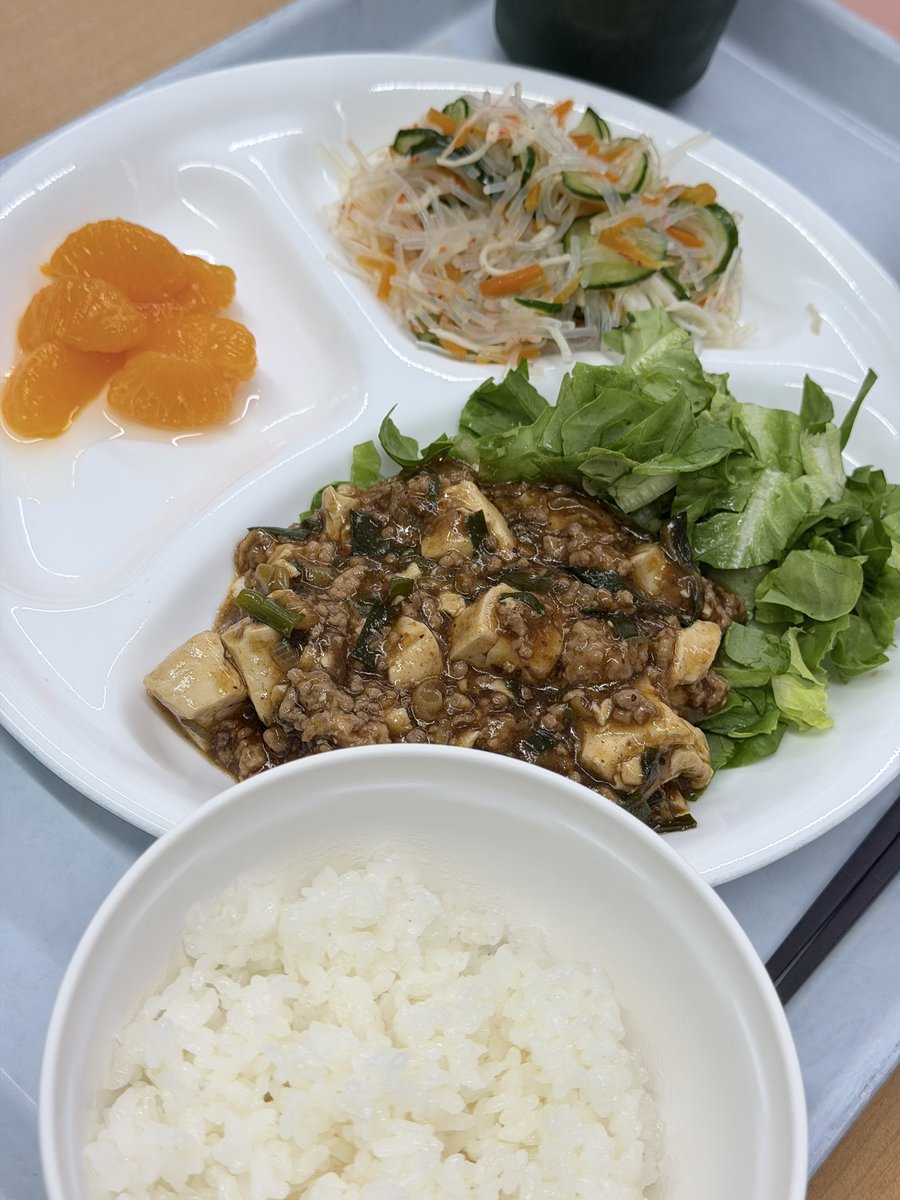sunchan_go's tweet photo. 今日のお昼はピリ辛な麻婆豆腐、春雨の中華和え、みかん缶だよ🌶️🥗🍊1日1555kcalで栄養満点！スタミナつけて暑い夏を乗り切ろう🌻午後も笑顔でがんばるよー🐾 https://t.co/GkCUmD87vW