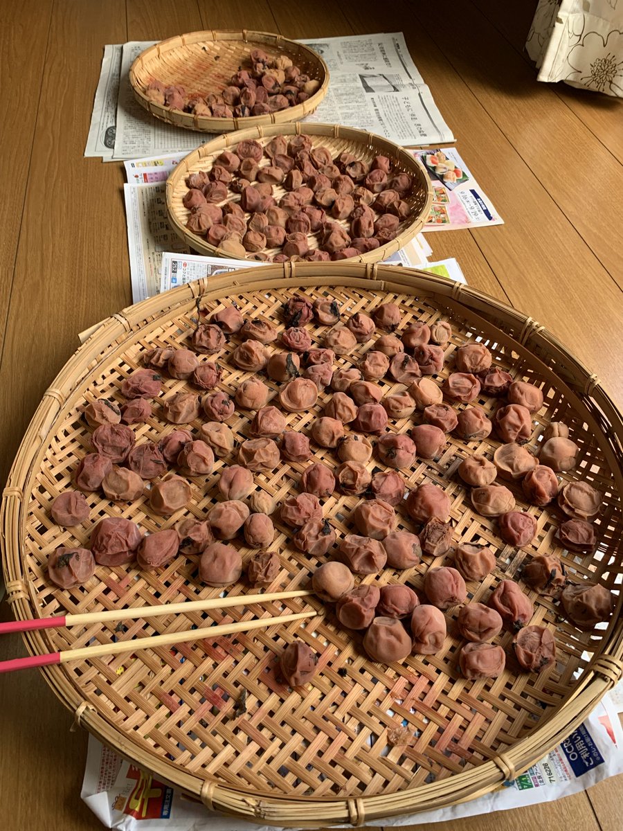 utukshiiumi's tweet photo. 春馬さん、梅、干しました。美味しい梅干し出来ます(^^) https://t.co/wIzwIAZgey