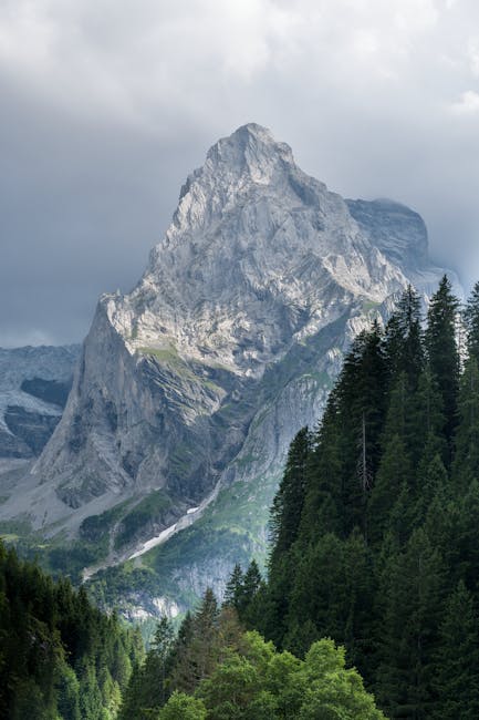 InaLarewtp's tweet photo. الأيام العاشقين بين النجوم. تزهر لما ينير أحلامهم henry hersha🏔️ https://t.co/5igF71swDm