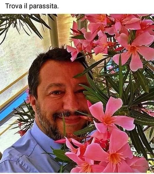 ArenaSusi's tweet photo. Questa è facile. https://t.co/5ROD9x9ATD