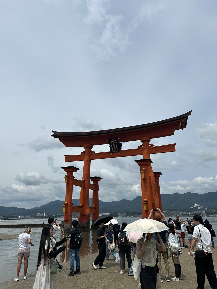 maho_k's tweet photo. 夏休みラストdayはまったり…とはいかず、旅行の片付けや買い出しなど通常運転の準備。写真は昨日の宮島。牡蠣カレーパンはフツーのお味だった。
最大の収穫は移動中に持って行った2冊の本をゆっくり読めたこと。普段は通勤電車で忙しないから、なかなか頭に入ってこない。晴耕雨読な生活に憧れる。 https://t.co/eZvNihaBS5