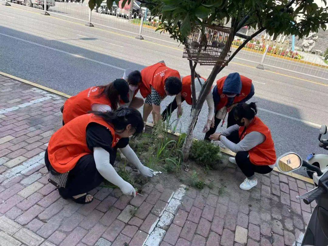 MozellaBerrong's tweet photo. Join our weekend community garden cleanup u0026 picnic! All ages welcome—tools u0026 snacks provided. Meet at Maple Park at 9 AM this Saturday! https://t.co/3J4yq5pU5s