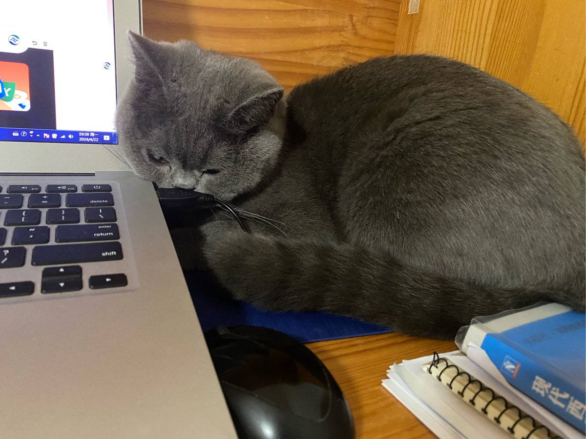 DebbiBauselink's tweet photo. Just pretended to debug the code for 20 mins but actually watched cat videos. My productivity for today: 0.8/10 (the 0.8 is from sipping coffee).， https://t.co/uRymKVrpLw