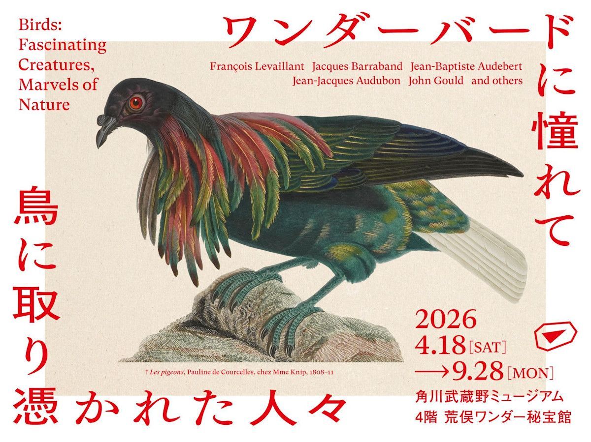 TokyoArtBeat_JP's tweet photo. 【気になる展覧会】
「ワンダーバードに憧れて　鳥に取り憑かれた人々」 
https://t.co/QcCogL3MfV 
📍角川武蔵野ミュージアム （東所沢）
📅4月18日〜9月28日 https://t.co/eNphTys5aR