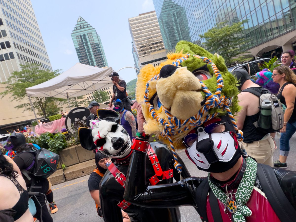 js_hundchen's tweet photo. les chiens à la fierté 😉

#FieréMontréal #PrideMontreal https://t.co/ShuCqbXxFE