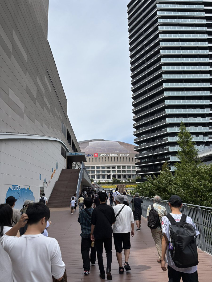 kiyored's tweet photo. 来たぞ https://t.co/wDEbY3z6H9