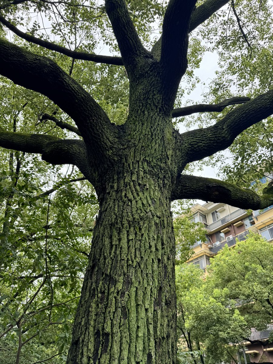 dimilabs's tweet photo. Ecological harmony, endless renewal... https://t.co/FdRYKAmQrU