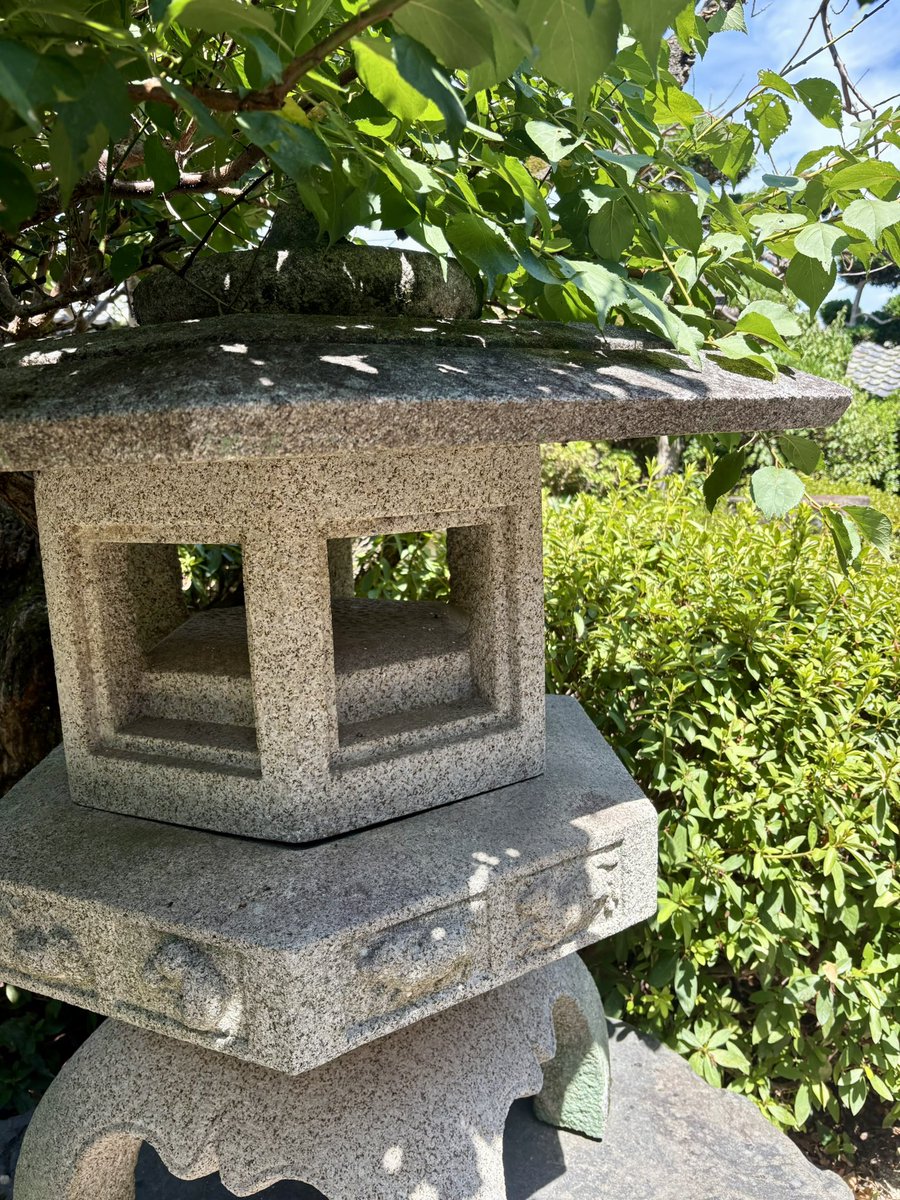 kuwamark's tweet photo. 今日は実家に帰省。庭の緑が生い茂っております🌳 https://t.co/yFDWnPmLPM