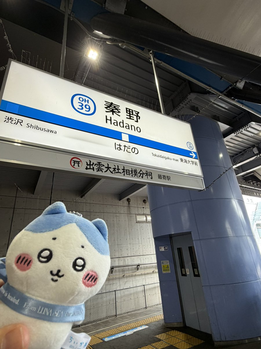 センラー 法被 サイン入り カテゴリー 【公式通販】