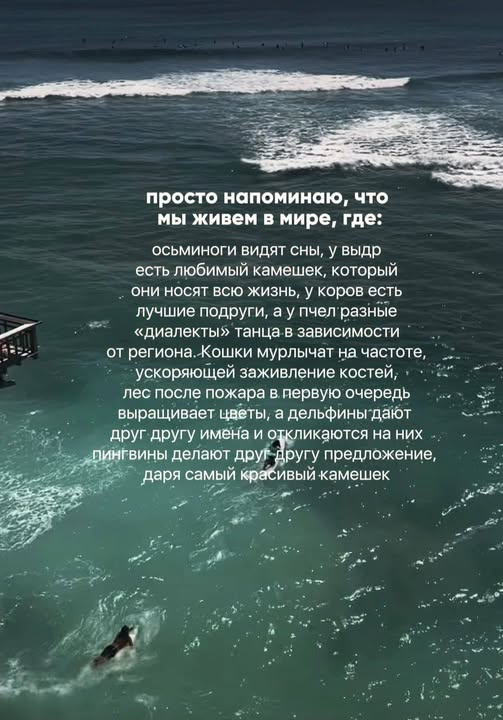 Elenaprostota tweet picture