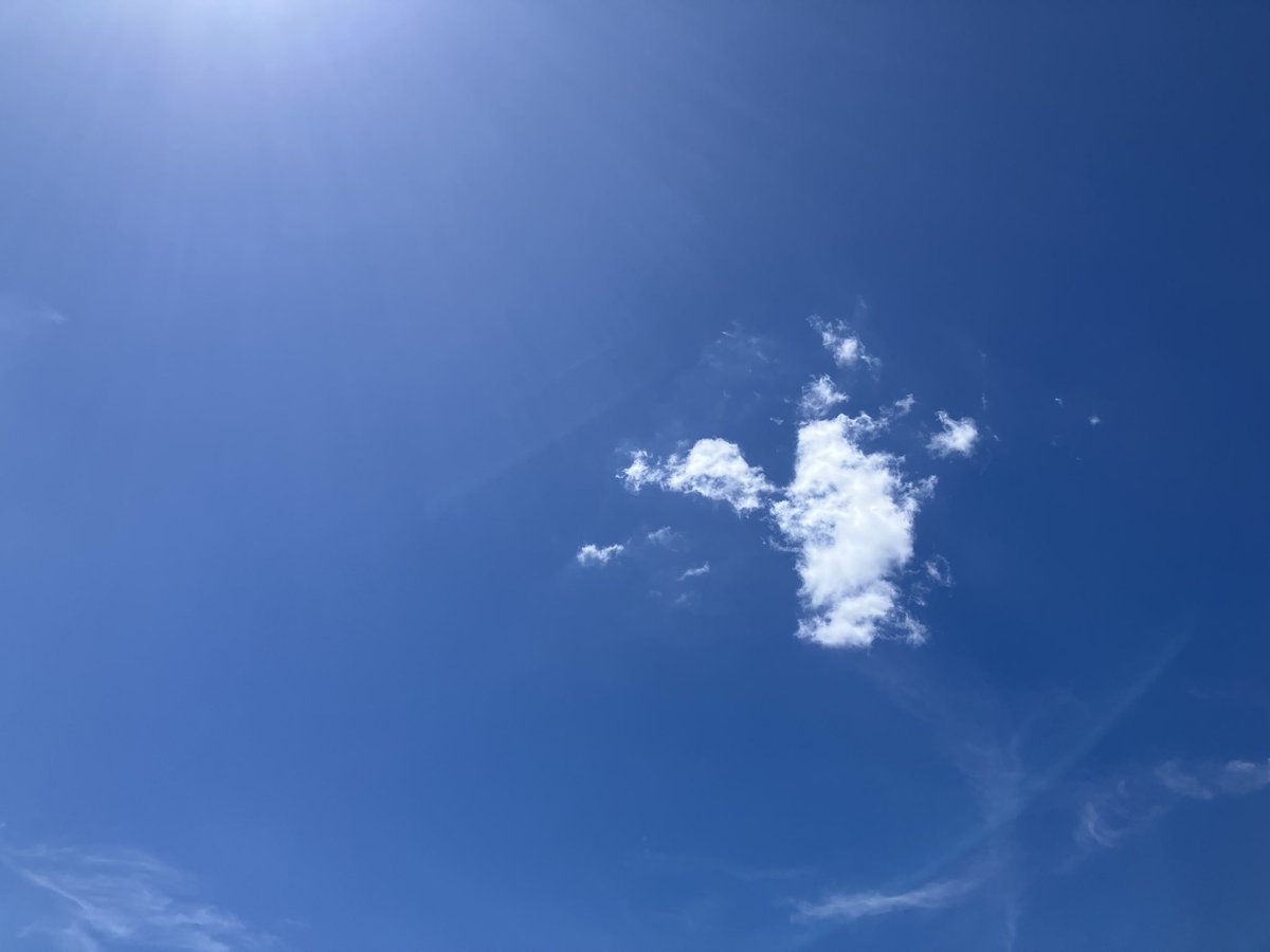 sinogu_00's tweet photo. 空 https://t.co/DKf0eGmZSJ
