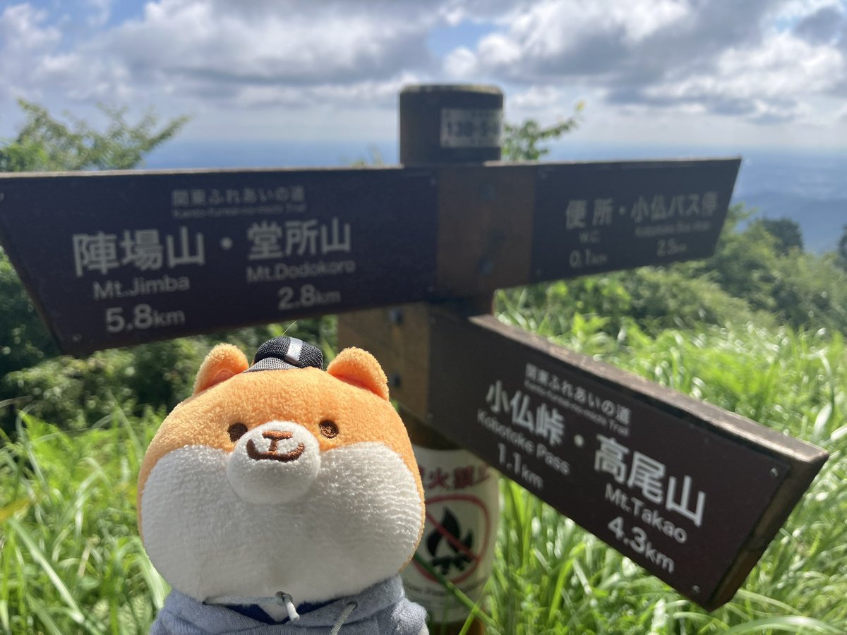 dada_123's tweet photo. 陣場山…の一歩手前の景信山から高尾山へ
来週の登山の練習で4時間ハイキングして来たヨ
せっかくなら陣場山行けばよかったネ https://t.co/hU1LXLRt70