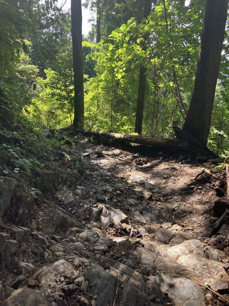 dada_123's tweet photo. 陣場山…の一歩手前の景信山から高尾山へ
来週の登山の練習で4時間ハイキングして来たヨ
せっかくなら陣場山行けばよかったネ https://t.co/hU1LXLRt70