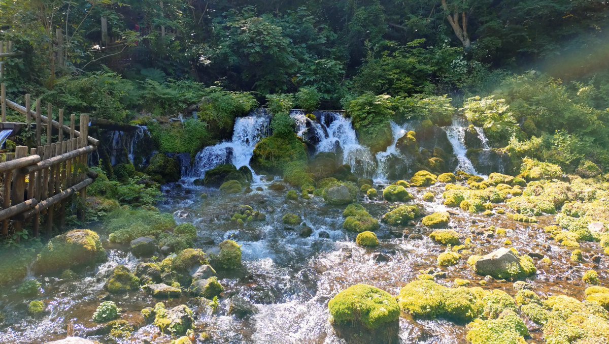 _holo_'s tweet photo. 京極のふきだし湧水　#北海道ツーリング https://t.co/FDUjDfFci3