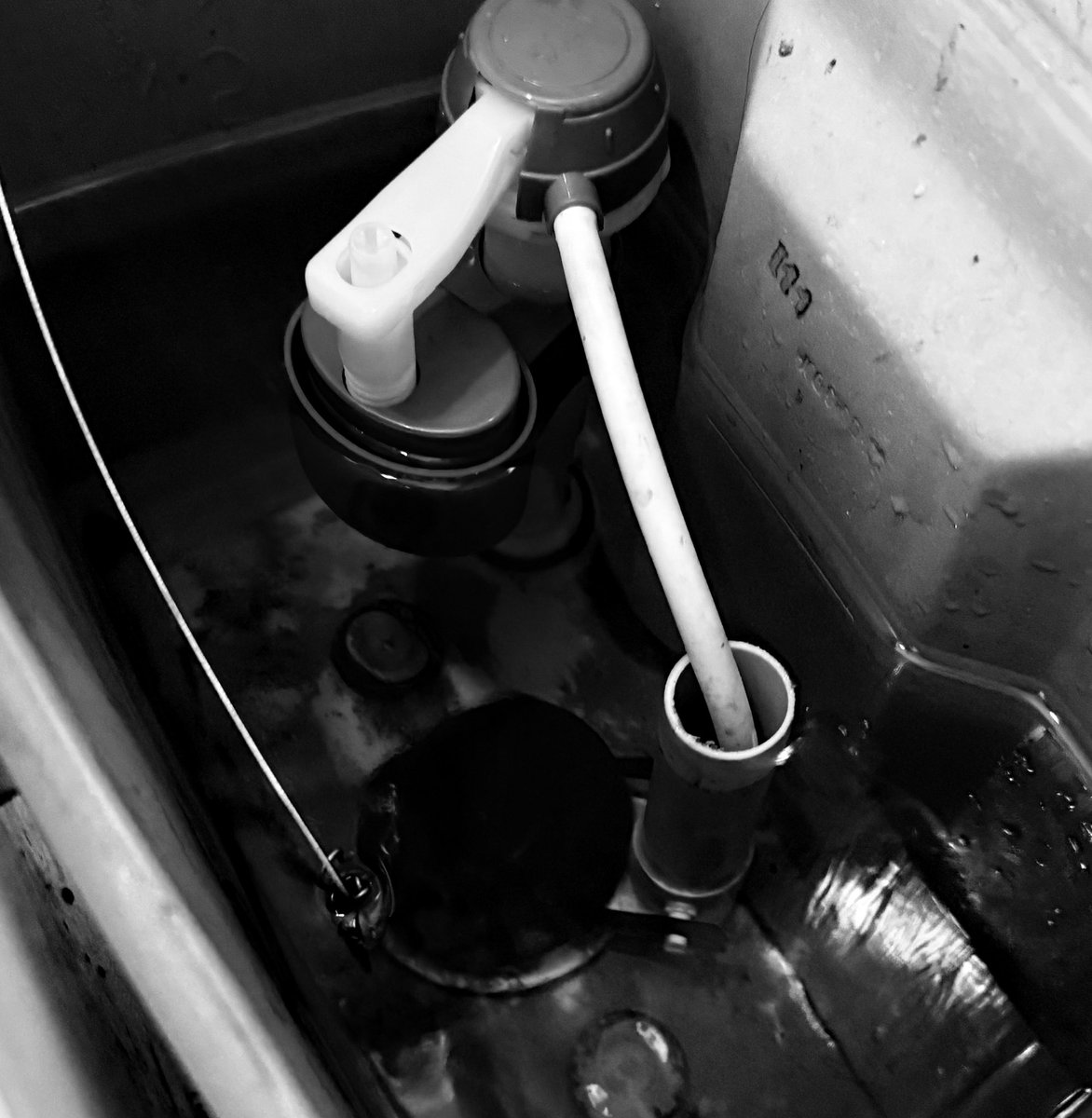 FrialdeCasel's tweet photo. New skill unlocked:

Mag replace ng toilet fittings https://t.co/zVDtnYzA49