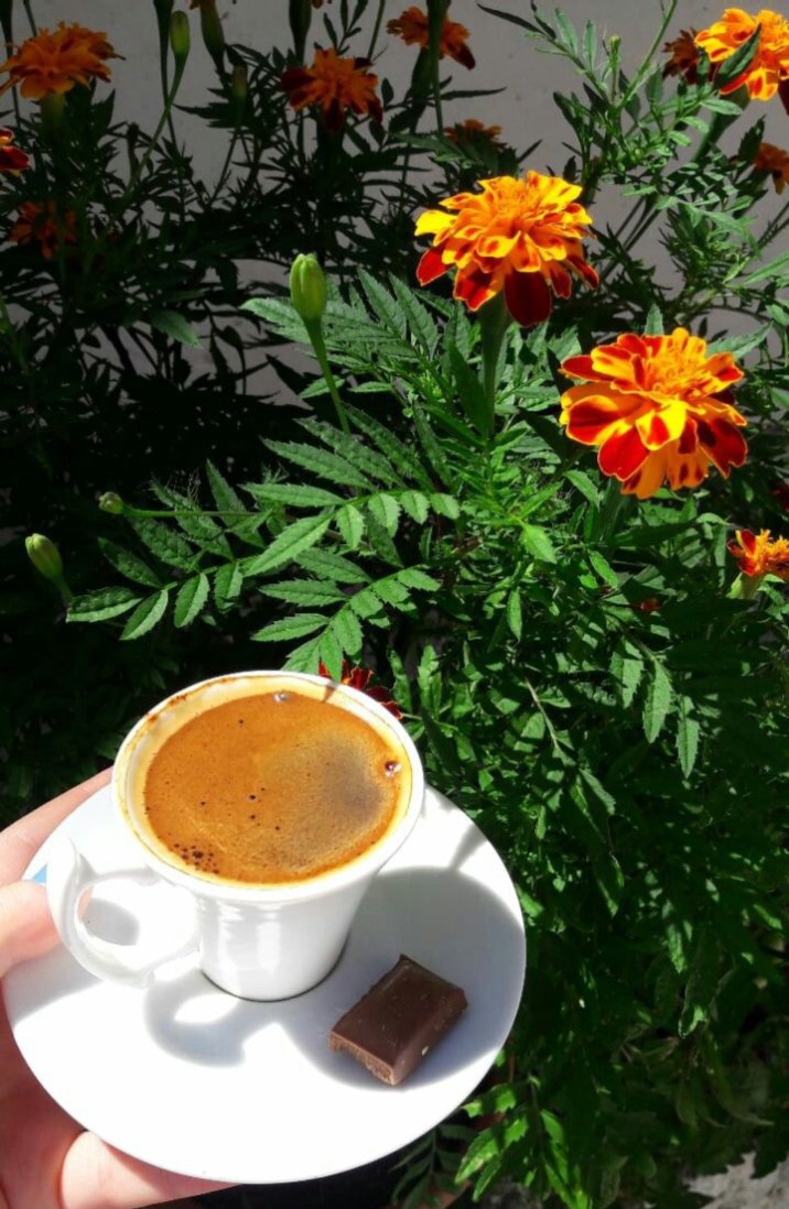 Bnt__Lbnen's tweet photo. عاملني بالحسنى أعاملك بالتي هي أحسن ...

#صباح_الخير_والسعادة https://t.co/Tm3VvMmpRR