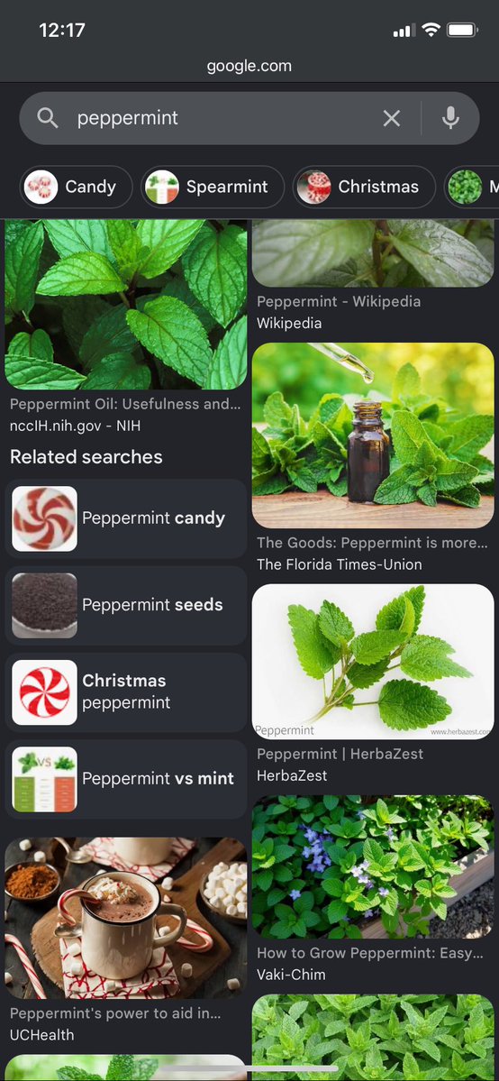 Engli5hLearner's tweet photo. chamomile peppermint https://t.co/Z1x2iwvuql