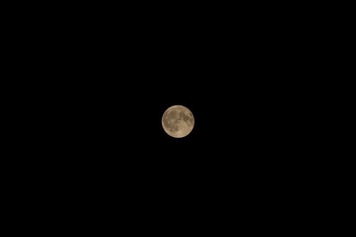 nitnc_photo's tweet photo. 📷写真部 部会を行いました！

今回は部員それぞれが撮影した写真を持ち寄り、写真を見せ合いながら交流しました！
花火や風景、植物など、いろいろな写真が集まりました✨

同じ写真部でも、それぞれ違った視点があって面白かったです！
これからも楽しく活動していきます📸 https://t.co/jcbeJpJEsR