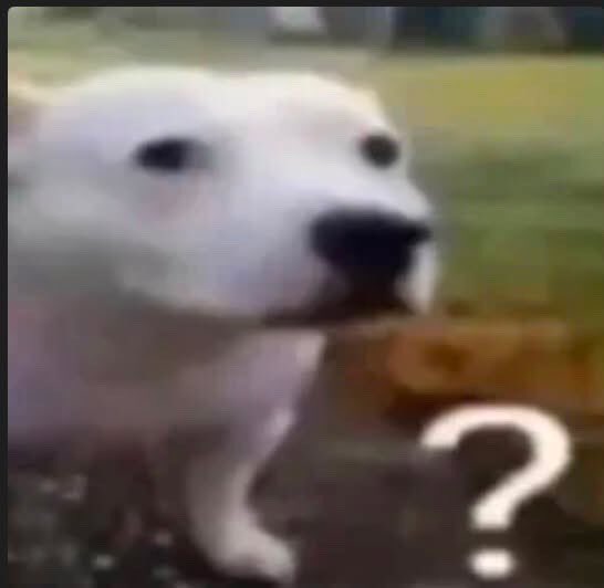 catsscureme's tweet photo. ai companies when they get all the blame for the clean water crisis knowing it’s the big greedy corporations and meat industry https://t.co/WINMPE6Kp6