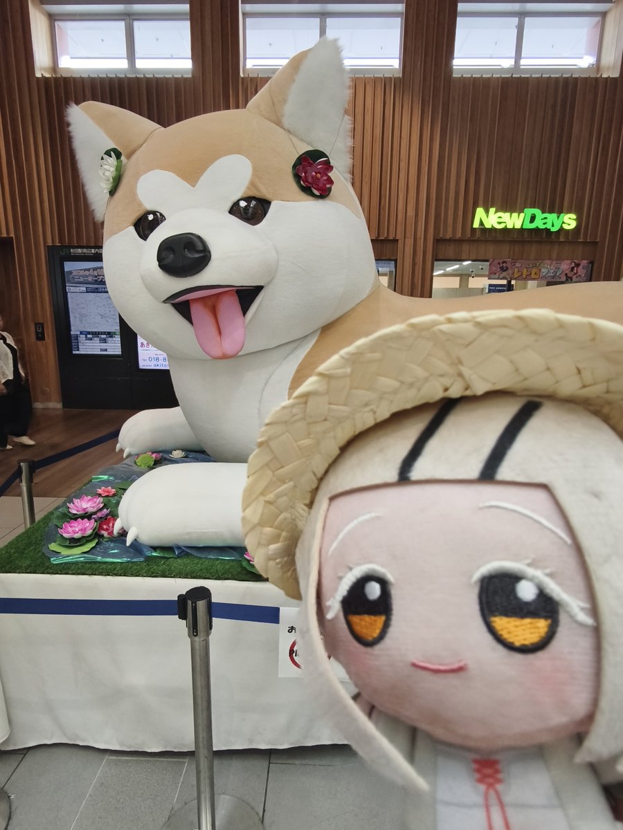 Meruna_4's tweet photo. 秋田のチェックポイント https://t.co/5pB1axNmDP