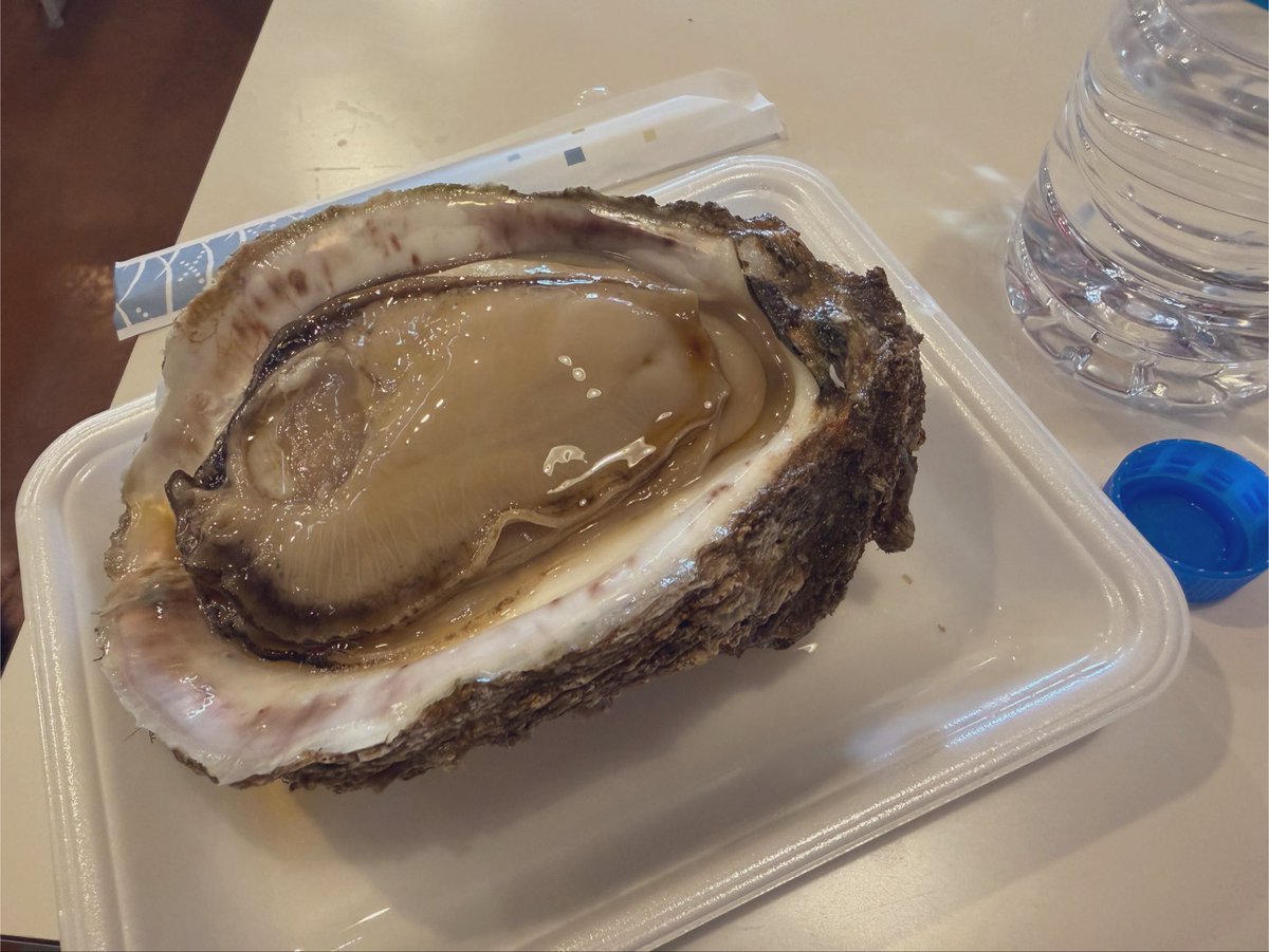 spica215's tweet photo. 昨日再放送してた「うまいッ!」で特集してた超巨大岩がき (鳥取市)
食べてみたくなって、食べに来た！ https://t.co/y8vLAVqsCQ