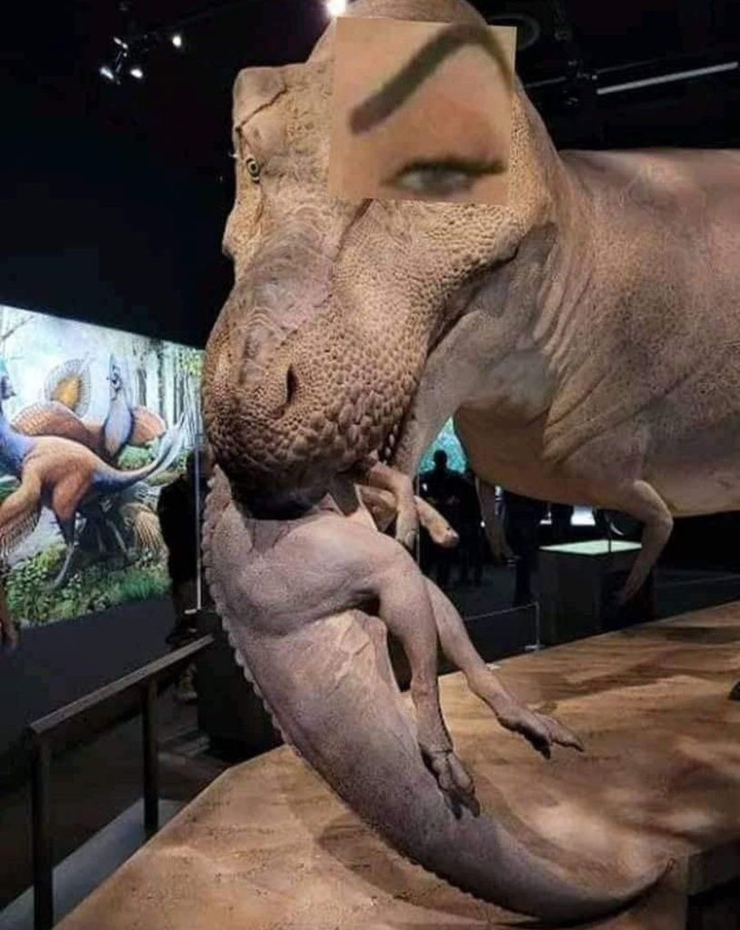 dinoincrisis's tweet photo. https://t.co/Bl3NvV8KVN