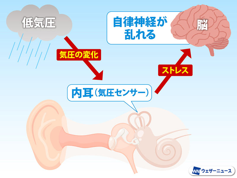 wni_jp tweet picture