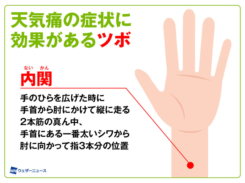 wni_jp tweet picture