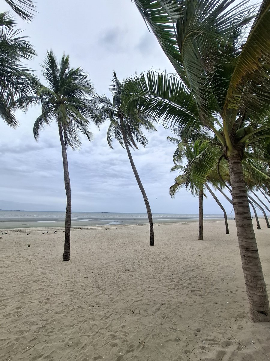 plus_pos's tweet photo. บางแสนทักครับ 🌴 https://t.co/49AZVZjmsq