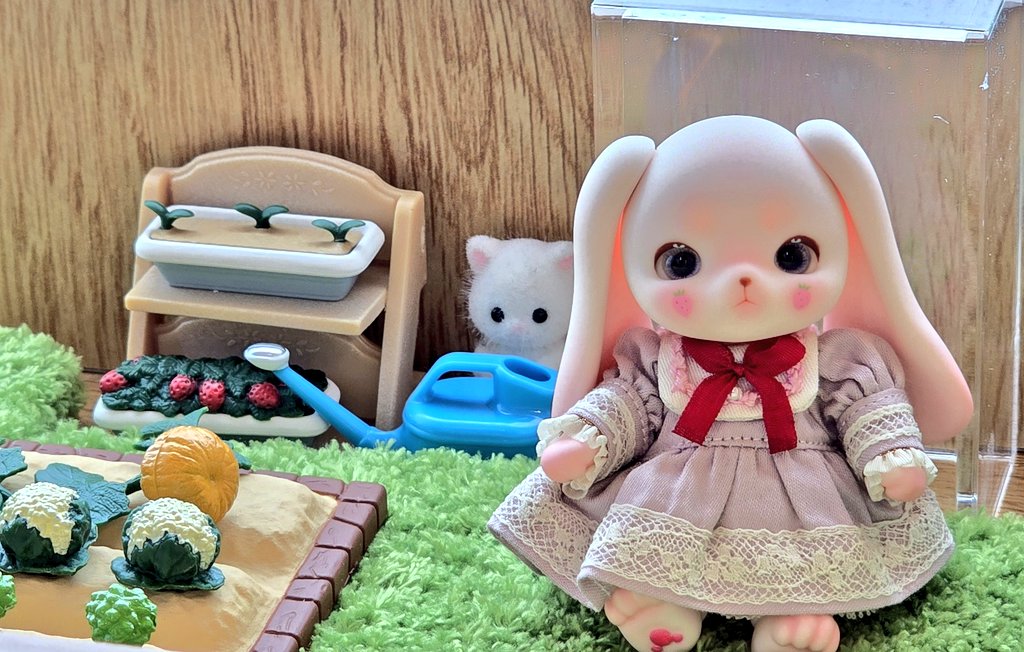 Emu_Hiro_puba's tweet photo. 텃밭의 🐰 https://t.co/6b9FZ6ZaRf