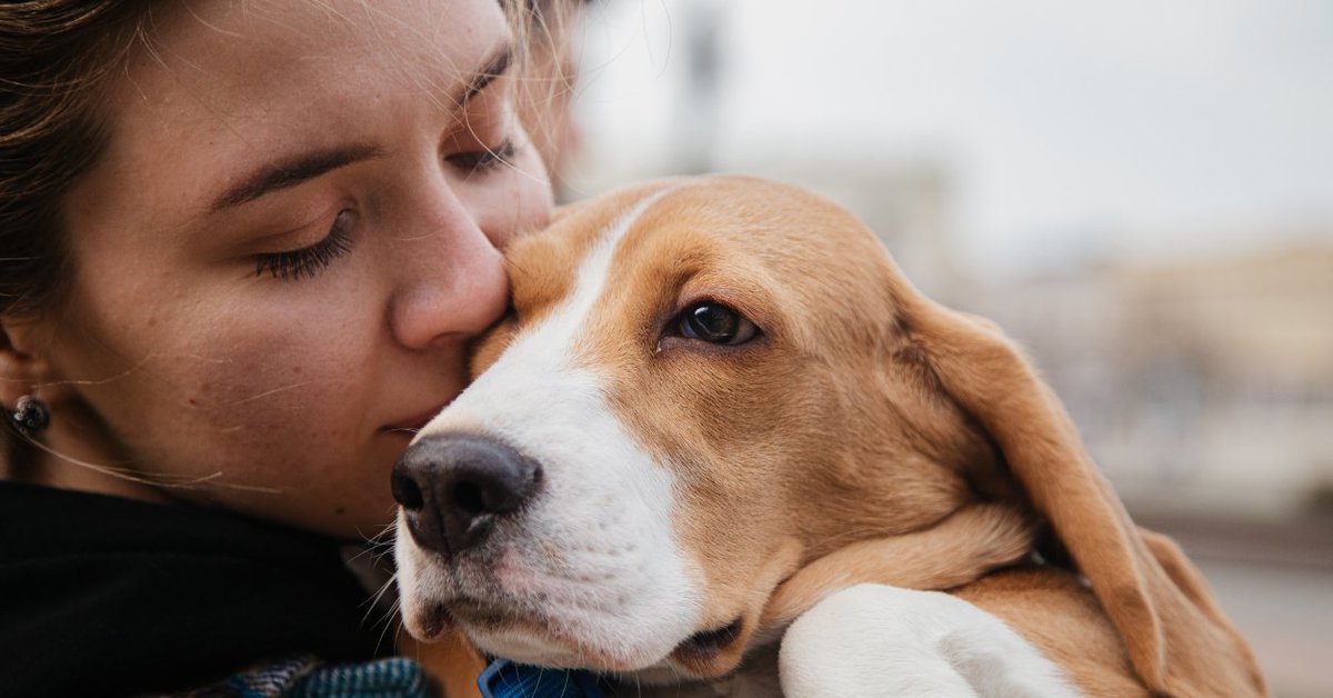 NazologyInfo's tweet photo. 犬の脳は人間の「恐怖」と「悲しみ」を区別していた
https://t.co/2OrOBb5TFl

愛犬は飼い主の表情をどこまで理解しているのでしょうか。オーストリアのウィーン大学は、犬の脳活動を調べ、人間の「恐怖の表情」と「悲しみの表情」で異なる活動パターンがあらわれることを報告しました。 https://t.co/0oOFUwDCT7