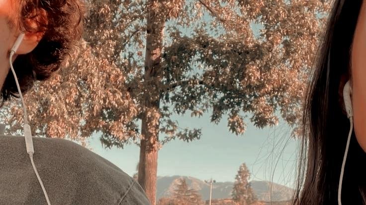 ceIesticos's tweet photo. ᅠ

           ( 📸 ) 𝑫𝐚𝐩𝐡𝐧𝐞ʼ𝐬 (𝐮𝐬𝐞𝐝 𝐭𝐨 𝐛𝐞) 𝐠𝐚𝐥𝐥𝐞𝐫𝐲. ᅠ
ㅤ https://t.co/RGjYjpfFyN