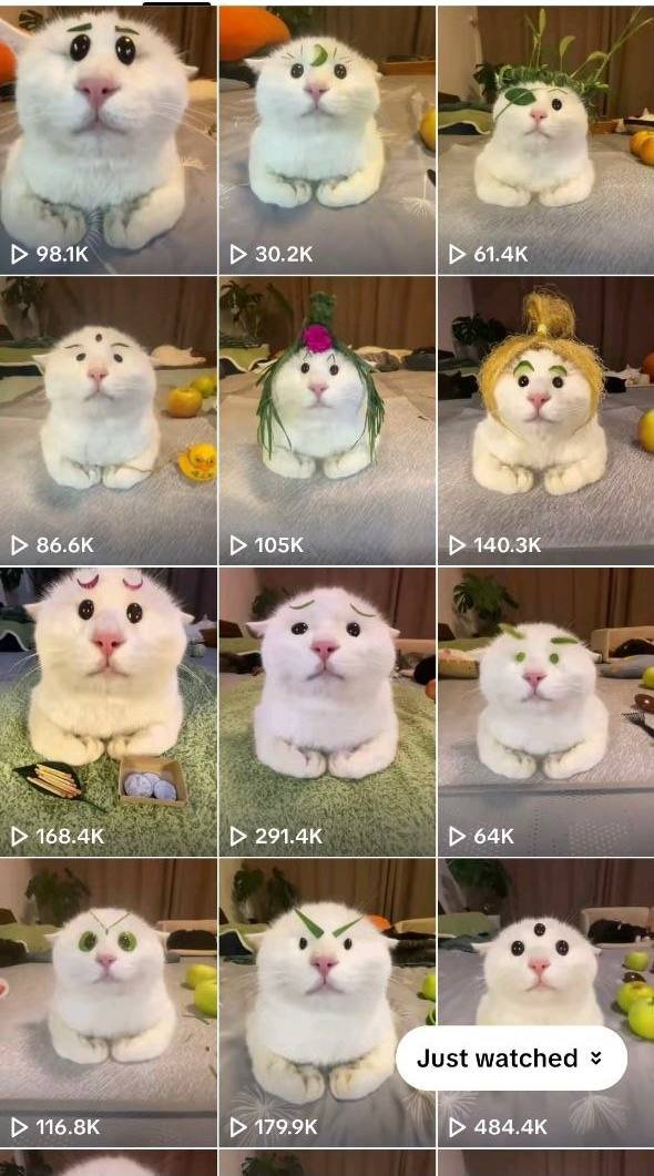Big_Kandle's tweet photo. Meet Zhuang Zhuang, the Goodnight Cat

Zhuang Zhuang has been going insanely viral on TikTok, where her owner posts her almost every day with a soft goodnight lullaby

The comments are already filled with Zhuang Zhuang stickers. She’s becoming the next big cat sticker meme

Huge eyes, tiny paws, hypnotic stare. The kind of cat you watch once and come back to say goodnight again

https://t.co/CHo7NAObPe