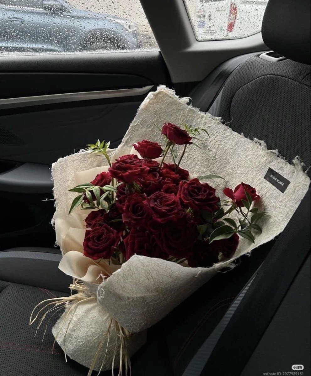 flloverland's tweet photo. https://t.co/pvLg1RVYye