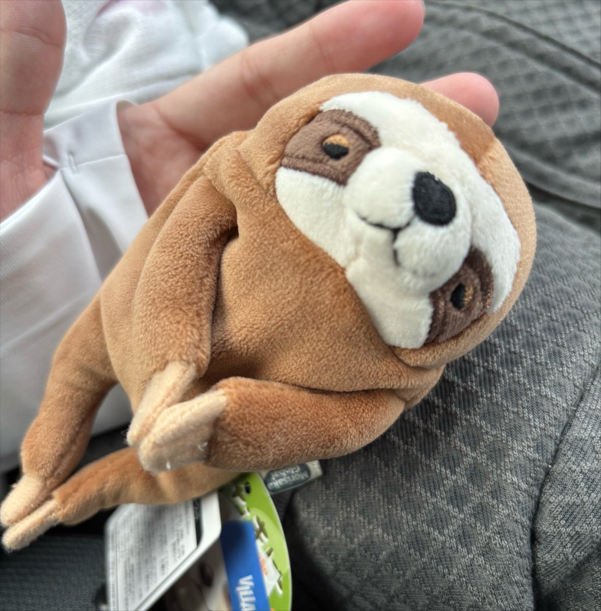 toro_bf003c's tweet photo. ナマちゃん買ってもらった🎶 https://t.co/nkjf4g2TxM