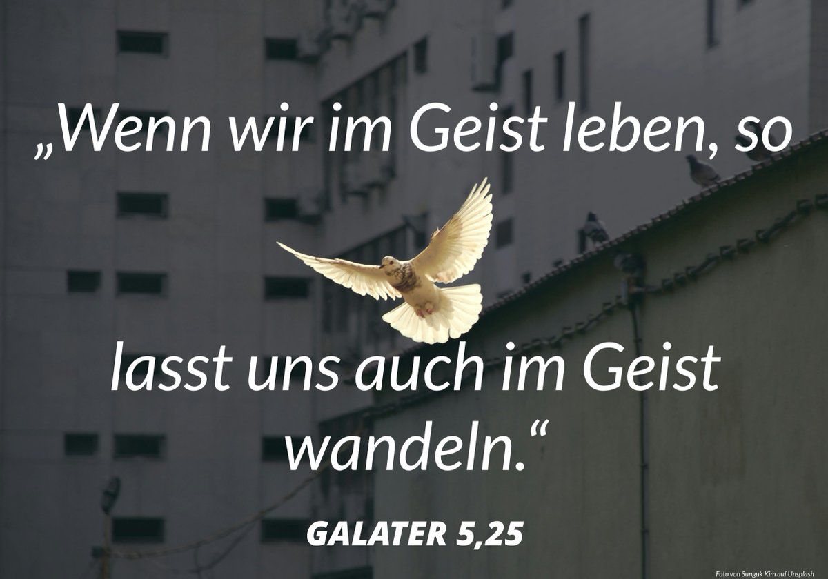 geroldczf's tweet photo. Mein Kommentar zu dem Bibelvers findest du unter:
https://t.co/tUk9KiOTrn https://t.co/xVY92uJzrB