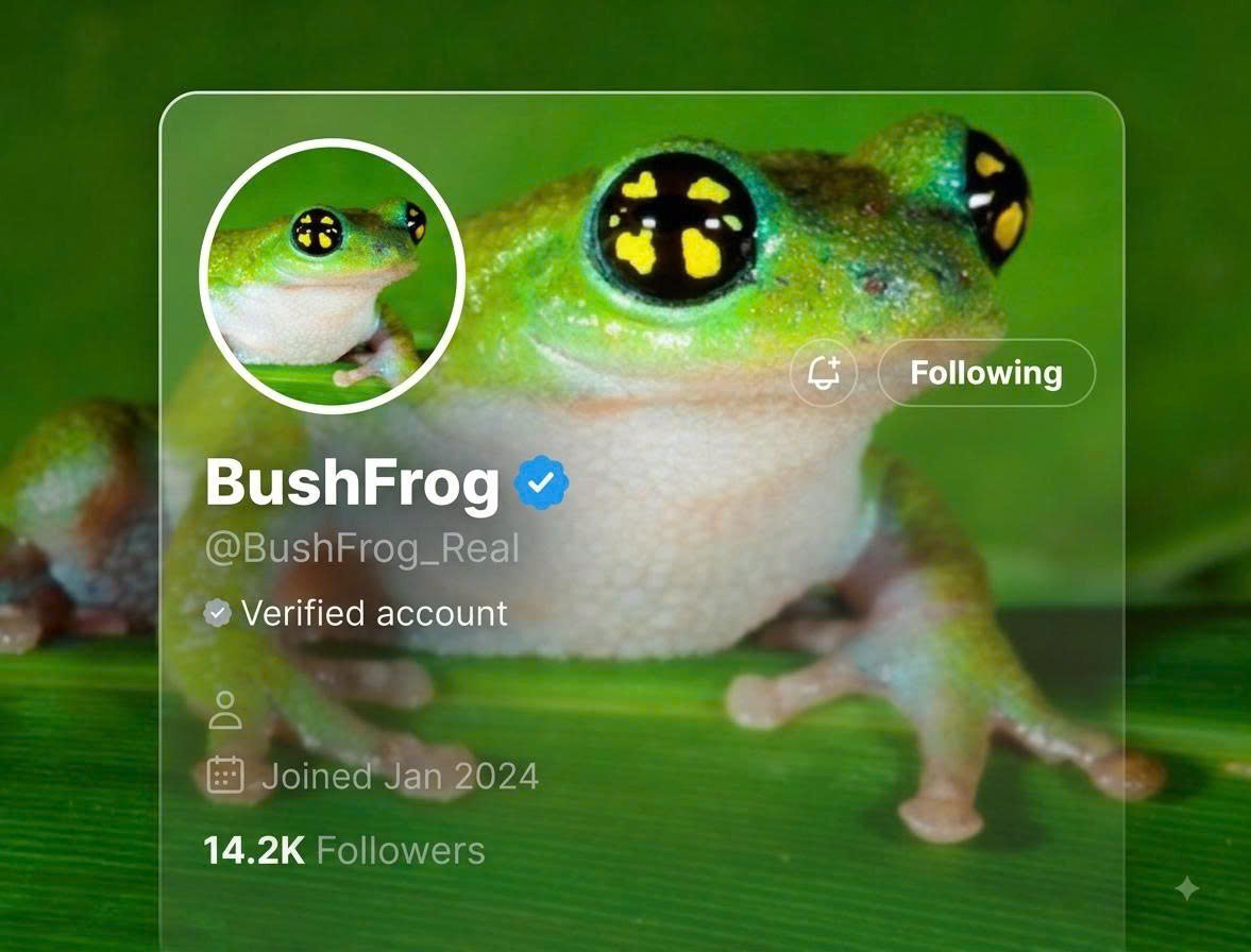 So2nC's tweet photo. Congratulations $Bushfrog  Blue tick. Thanks X https://t.co/bC6AfFeyvF