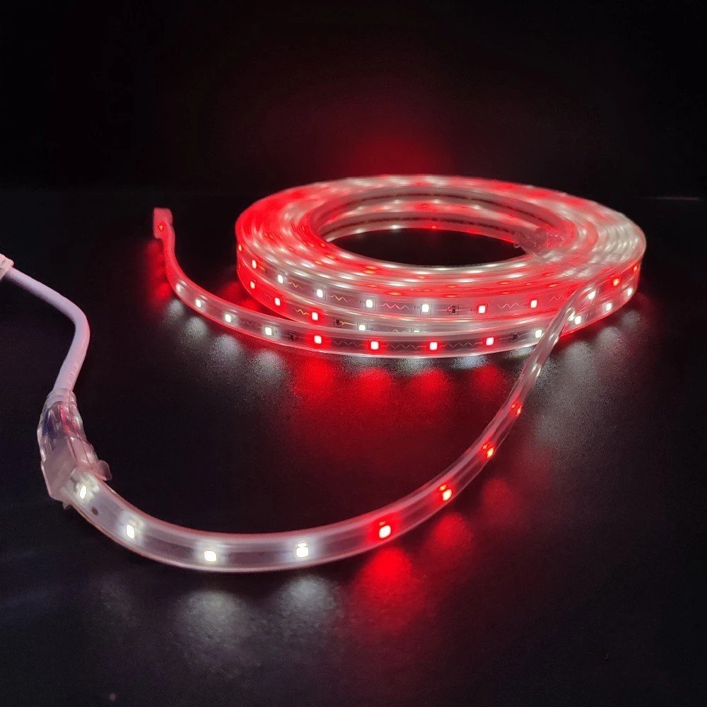 HadDzx's tweet photo. Persiapan dekorasi HUT RI 17 Agustus biar gapura &amp; teras rumah makin semarak! 🇮🇩✨
​Lampu LED selang Merah Putih 8 meter, udah tahan air (PVC tebal), hemat listrik, &amp; tinggal colok aja. Cocok buat dipasang di pagar atau teras.
​Cek harga promonya di sini👇
https://t.co/H8KAKZao2e https://t.co/aPZHo7TrvZ