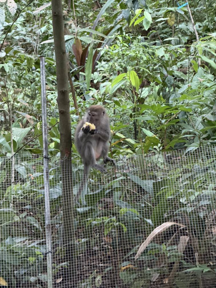 IvyT_rail's tweet photo. Get close to nature, but don’t get too close. https://t.co/1sfNlalsiW