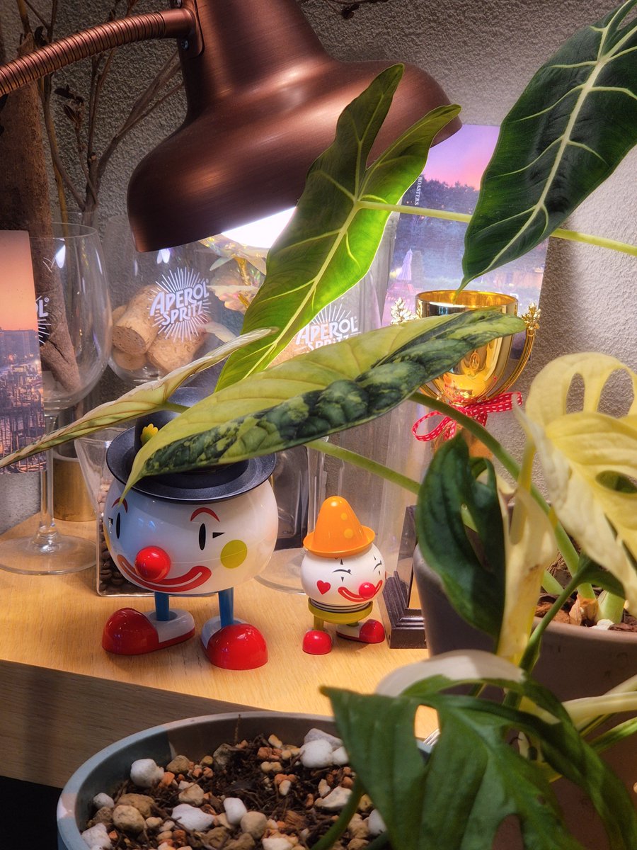rakurage's tweet photo. #코덕트친소 #일상계트친소 #사이트친소 
 ‍ ‍ ‍ ‍ ‍ ‍ ‍ ‍ ‍ ‍  ‍ ‍ ‍ ‍ ‍ ‍ ‍ ‍ ‍ ‍ ‍ ‍ ‍ ‍ ‍   ‍ ‍ ‍ ‍ ‍  ‍ ‍ ‍ ‍ ‍ ‍ ‍ ‍ ‍ᯠ _   ̫  _ ᯄ ੭
좋아하는 거 한 바가지인 저랑 트친하실 분 https://t.co/W3t2Y9oAUD