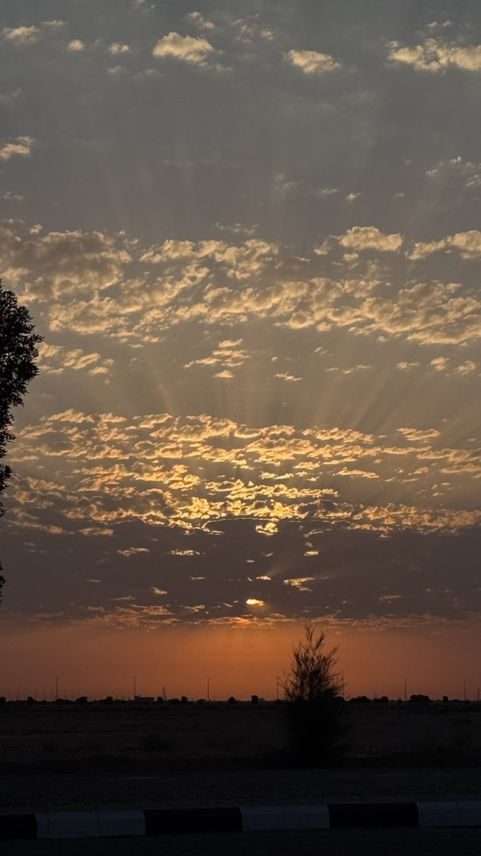 LTXZ_X7's tweet photo. #Sunrise 🌅 https://t.co/tr47HdfSS7