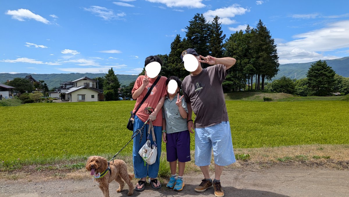 Waffle_Cockapoo's tweet photo. 稲畑と空が綺麗過ぎて、なんかAIぽくない？って息子が😂
補正なし。
#コッカプー
#犬との生活 https://t.co/79VrQRuAeH