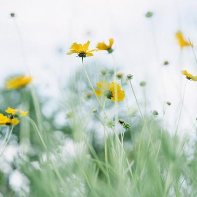 MBrooks12131's tweet photo. Just sent SOL to a charity wallet. Giving back. 🧢 🌻 https://t.co/odnG2dZB94
