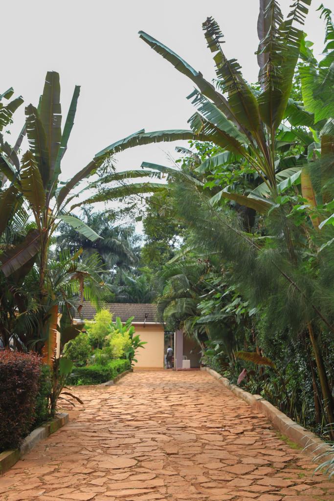 GoldenJinja's tweet photo. Spend the night and indulge in a daily sumptuous breakfast at ours! Golden Cherries guesthouse, Jinja city. Reservations: 0772120987/0759120987. https://t.co/YZvIbNqTHL